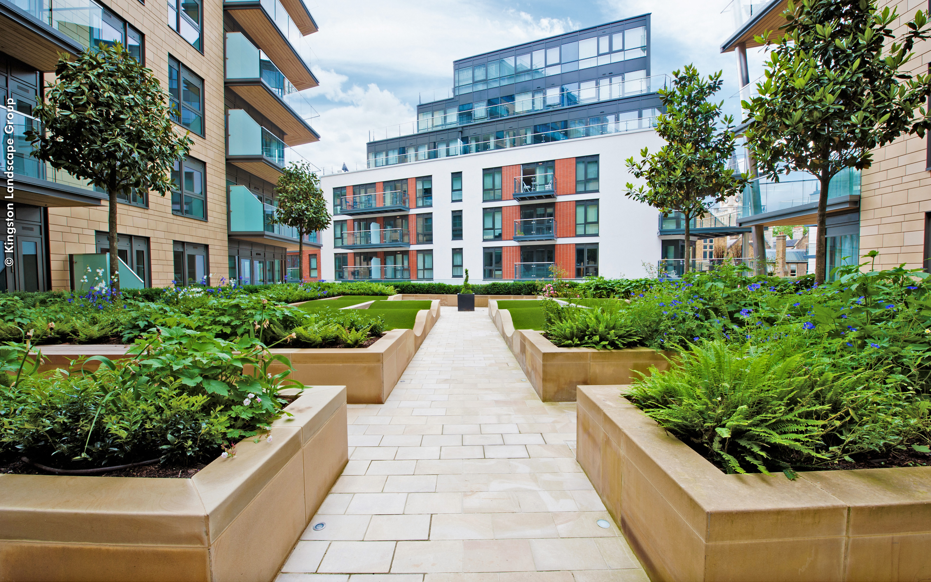 Planters with small trees and shurbs surrounded by multi-storey buildings